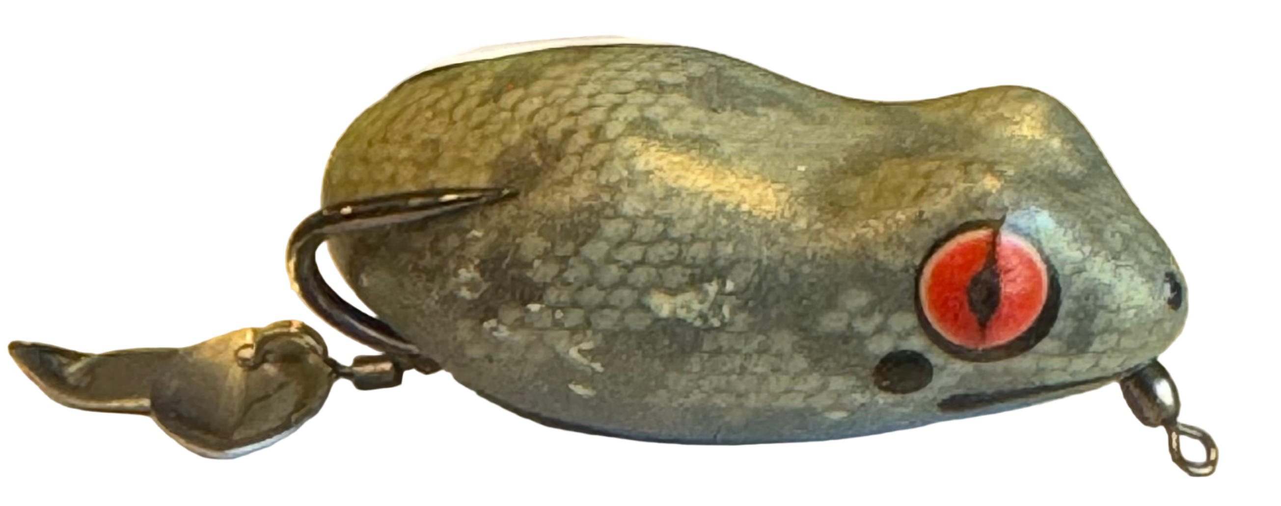 Bladed Rot by SeaChell Fishing